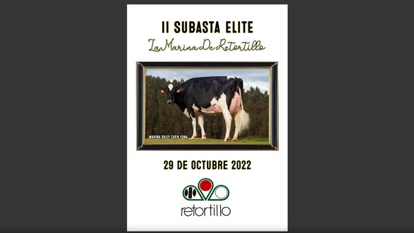 La Marina de Retortillo celebrará a súa II Poxa de Elite o 29 de outubro