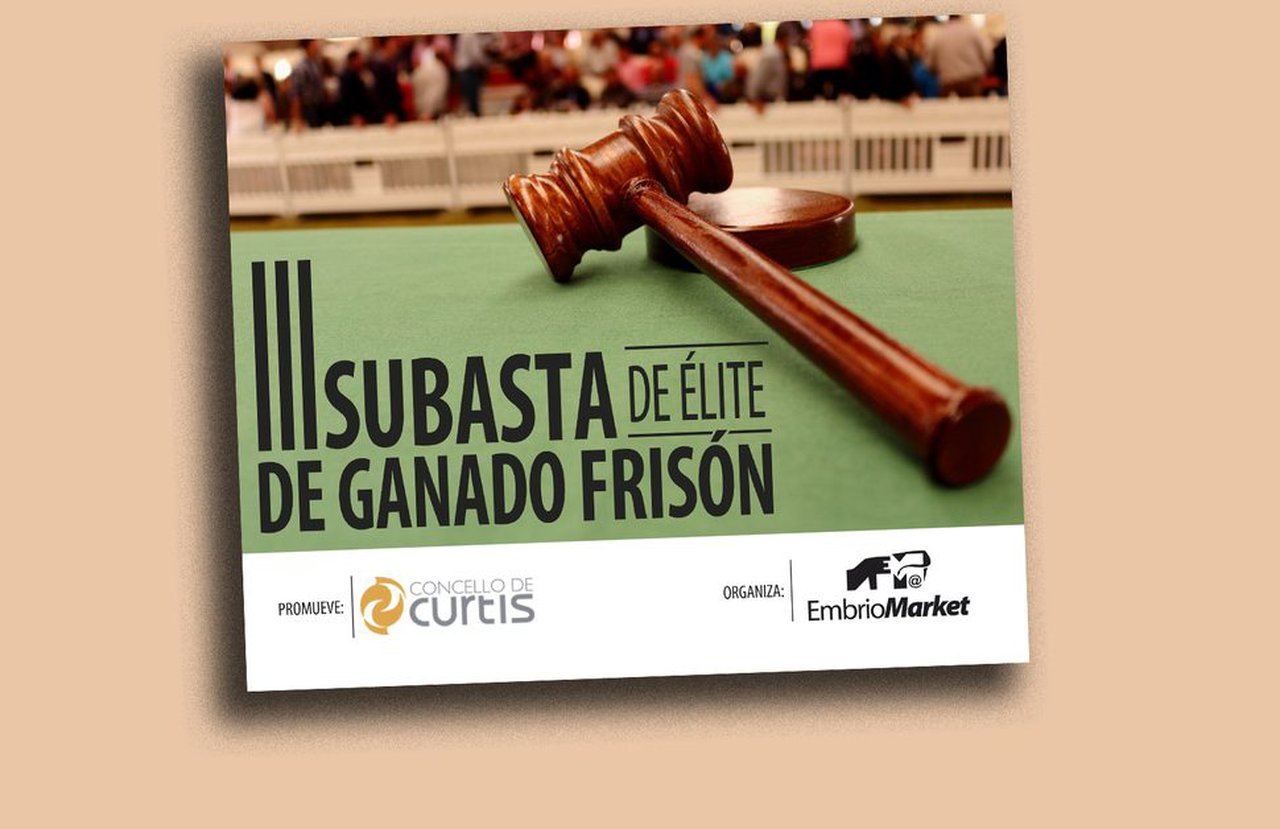 Conta atrás para a III Poxa de Elite de Gando Frisón