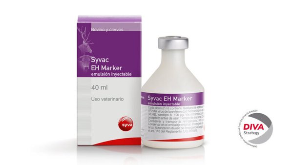 Syvac® EH Marker, a primeira e única vacina DIVA contra a EHE, xa está autorizada en Bélxica