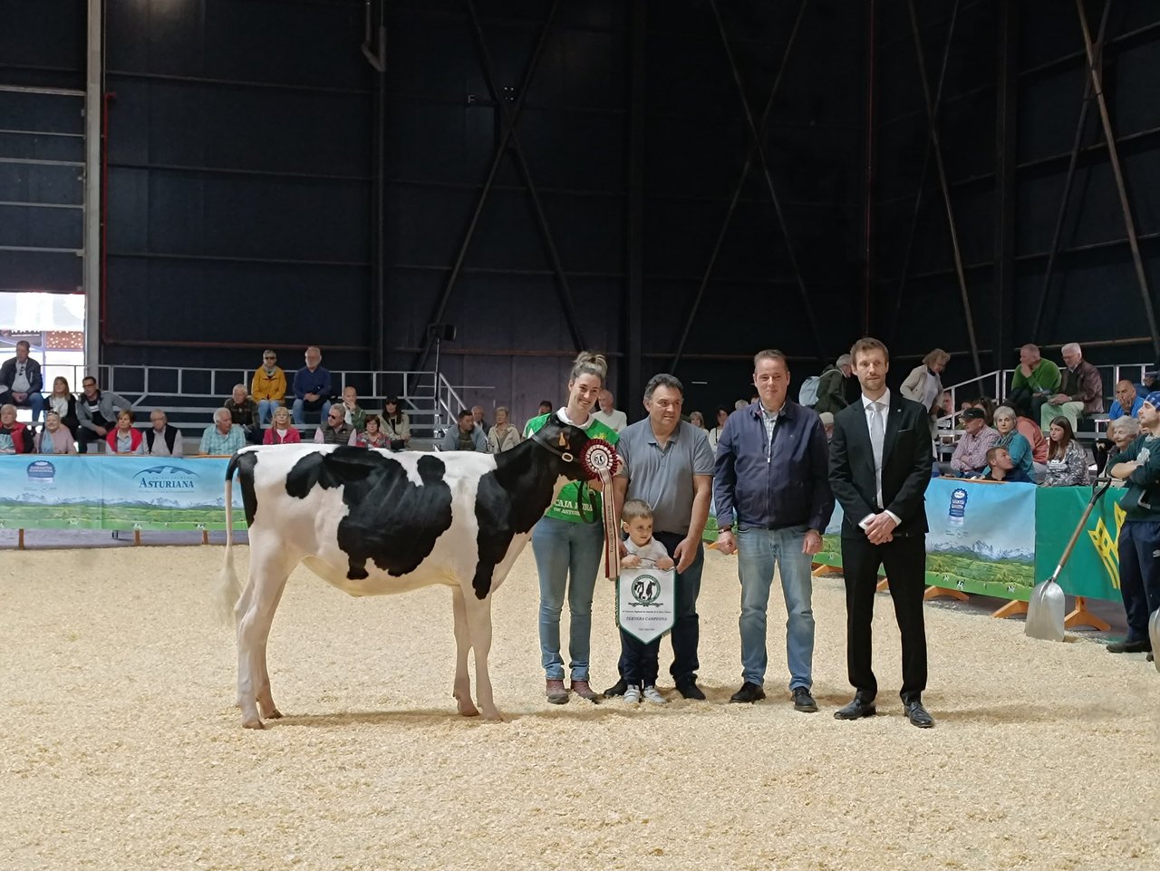 Flora Harris Sharon es la nueva ternera campeona del Concurso Regional de Asturias 2024