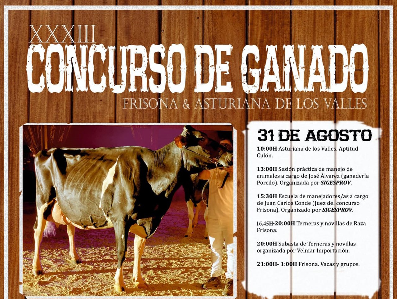 Tineo celebra os seus concursos de gando o último sábado de agosto e primeiro domingo de setembro