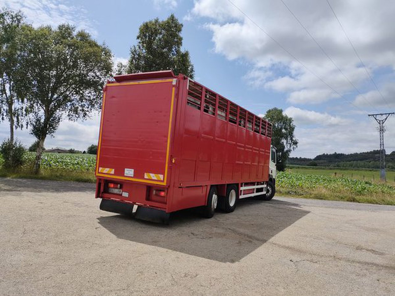 Abre el segundo período de audiencia pública del proyecto de real decreto sobre normas en el transporte de animales