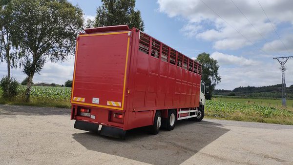 Abre el segundo período de audiencia pública del proyecto de real decreto sobre normas en el transporte de animales