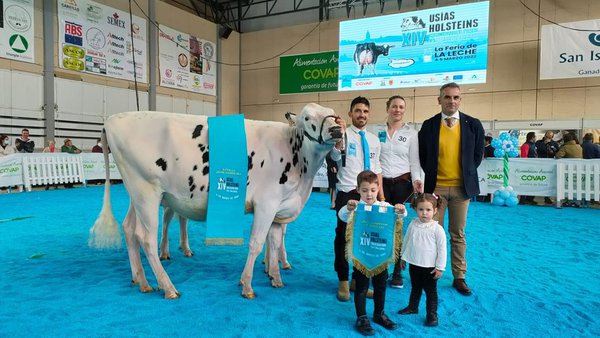 H.Tobias Silvalisa, elegida novilla gran campeona en Dos Torres