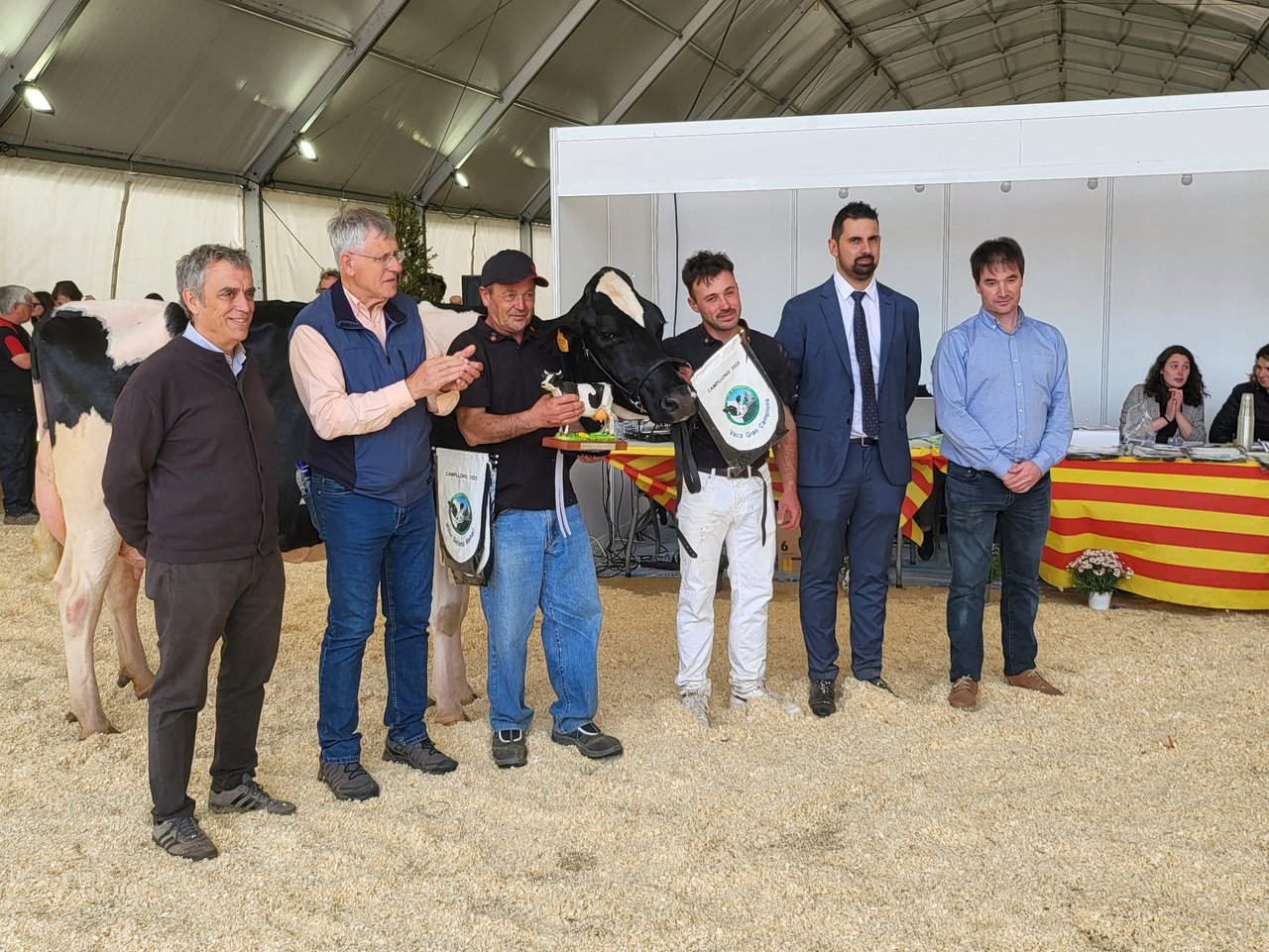 821 Duran Sailing Cardinals se proclamó vaca gran campeona en el Concurso de Campllong