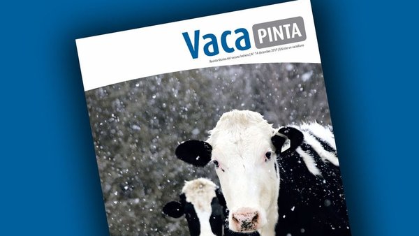 Vaca Pinta 14, en castelán!