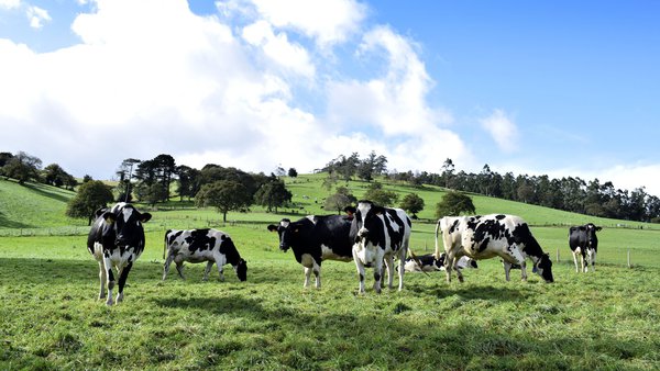 Os agricultores e gandeiros outórganlle ao seguro agrario a valoración máis alta desde 2019