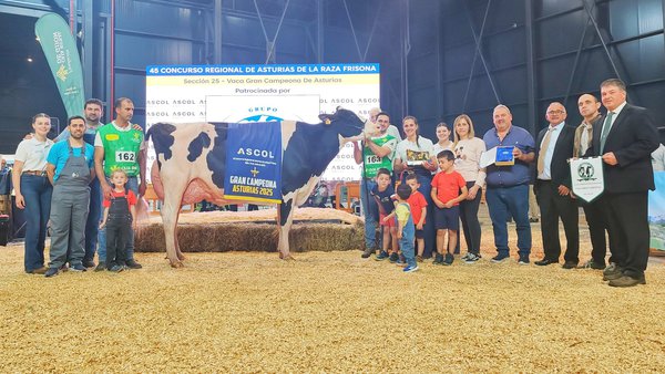 Venturo Hotjob Romilita, nuevamente mejor vaca asturiana de la raza frisona en el Regional
