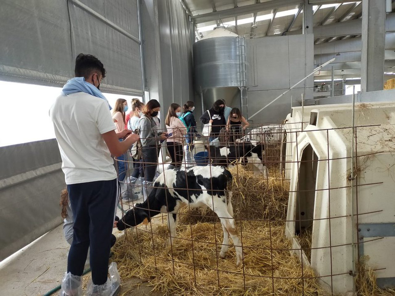 Veterinaria lleva sus aulas hasta la Granja del Campus Terra