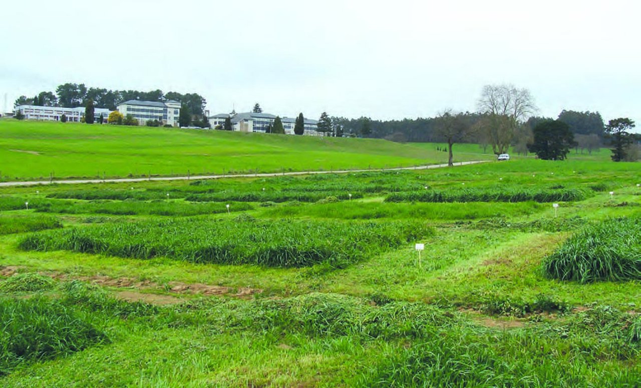 Avaliación produtiva e nutricional de variedades comerciais de especies pratenses en sementeiras de primavera na zona atlántica de Galicia