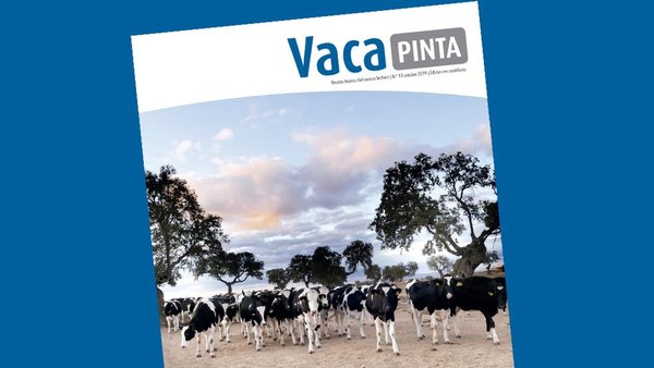 O novo número de Vaca Pinta, tamén en castelán