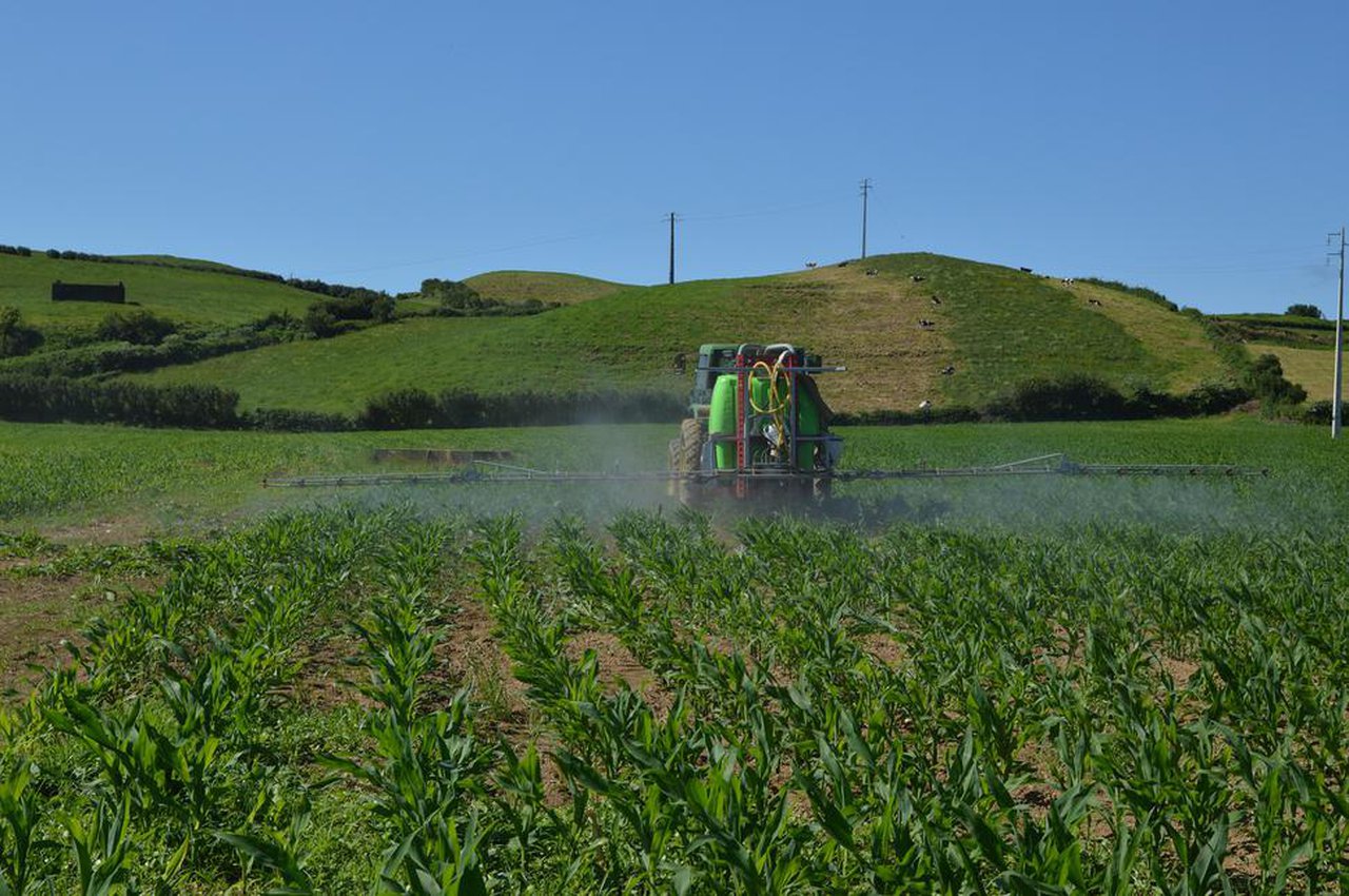 Cara a unha xestión integrada de pragas no millo forraxeiro en Galicia