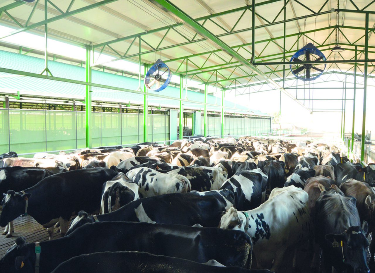 O uso do índice de relación verán-inverno no rendemento das vacas leiteiras en diferentes rexións dos EE. UU.