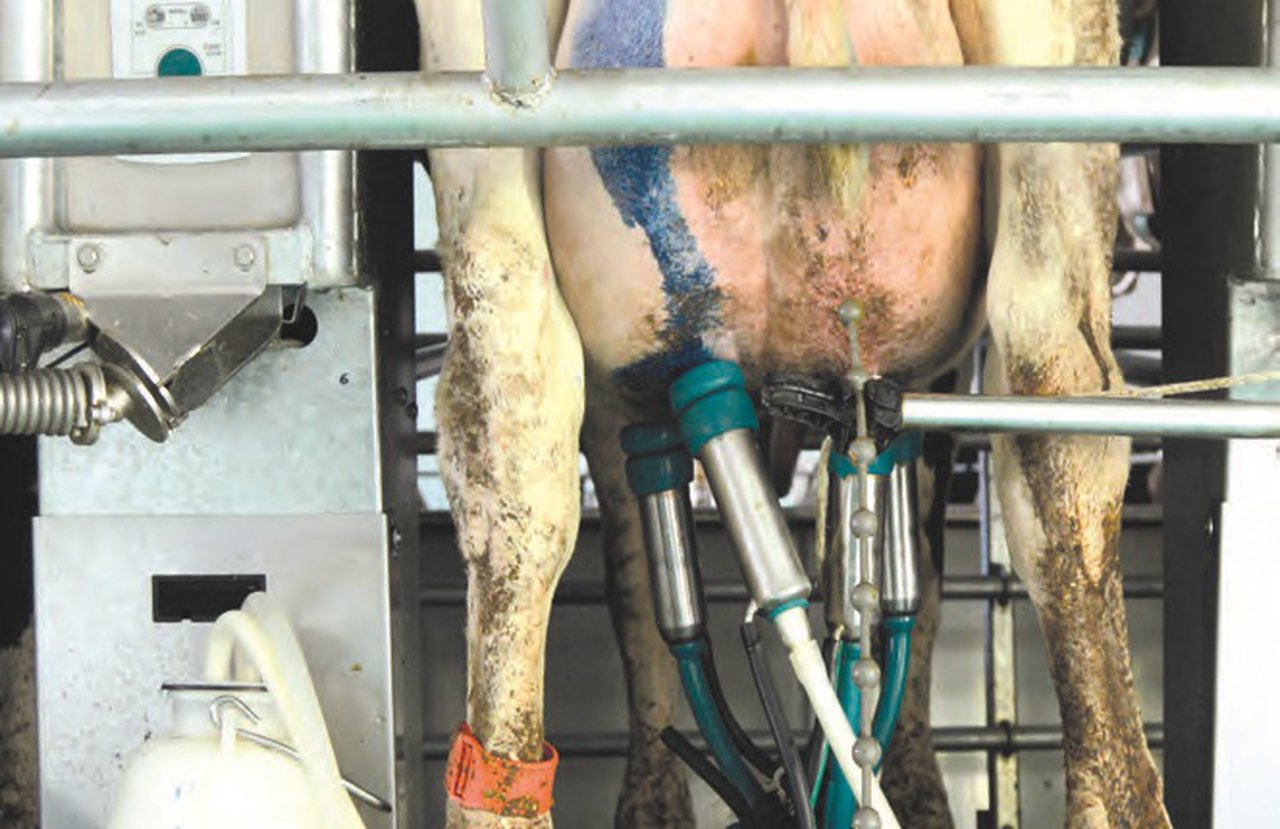 A xestión como ferramenta para o control das mastites e o RCS