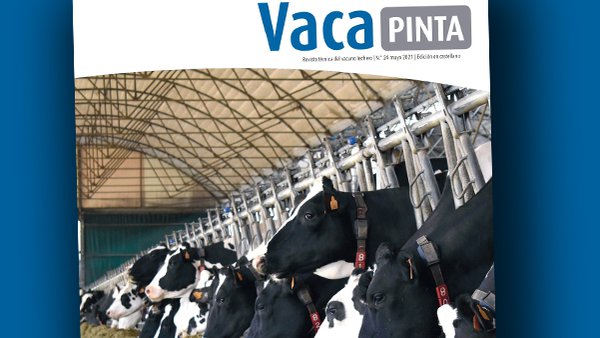 Ya disponible la versión en gallego de Vaca Pinta 24