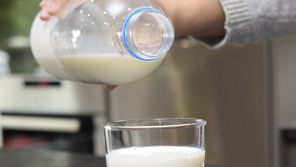 El consumo de leche y su importancia en la salud a lo largo de la vida