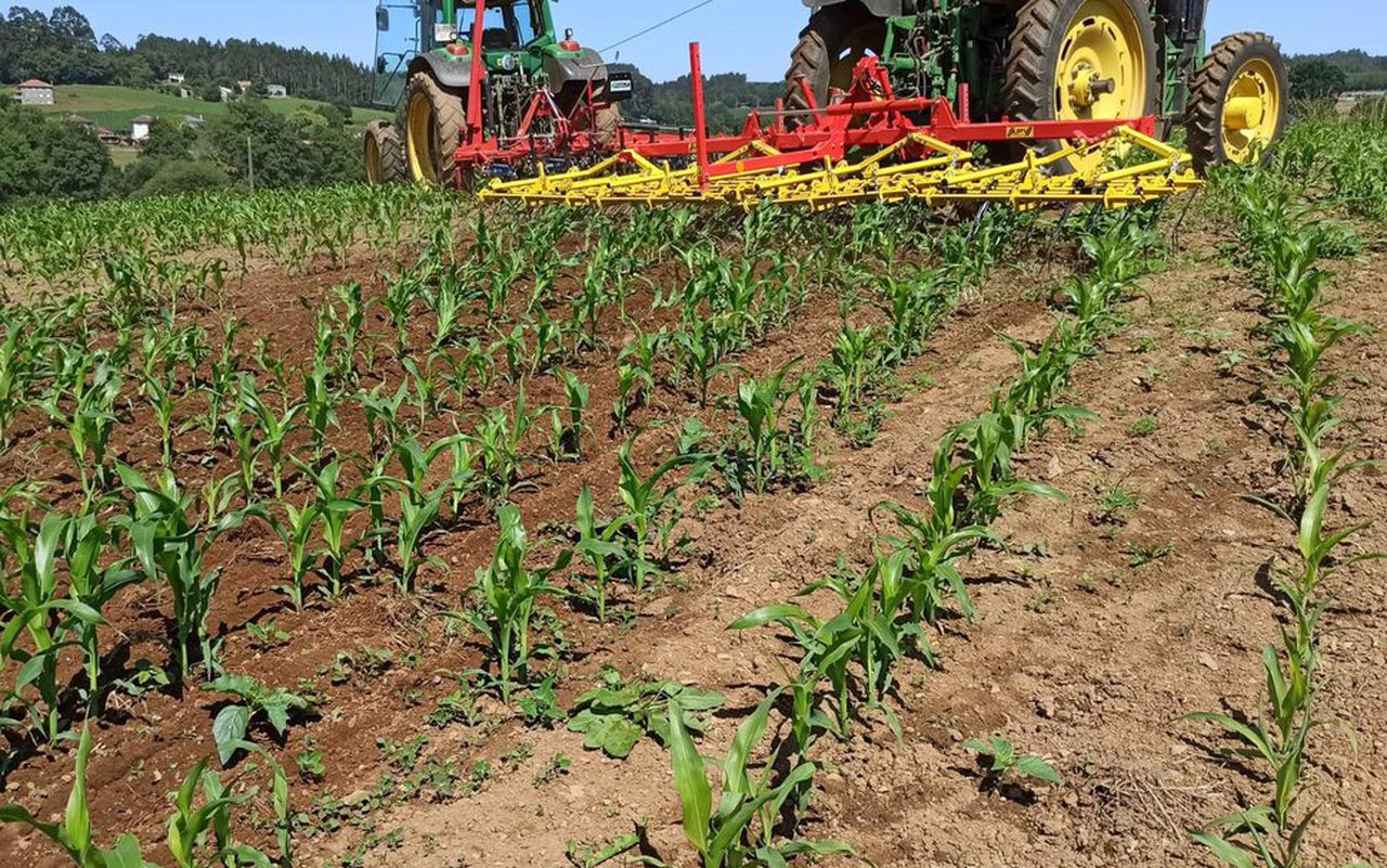 Jornada en Arzúa sobre la reducción de fitosanitarios en el cultivo de maíz a través de la escarda mecánica