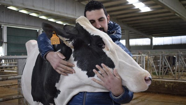 Entre bambalinas: amor, esfuerzo y mejora continua