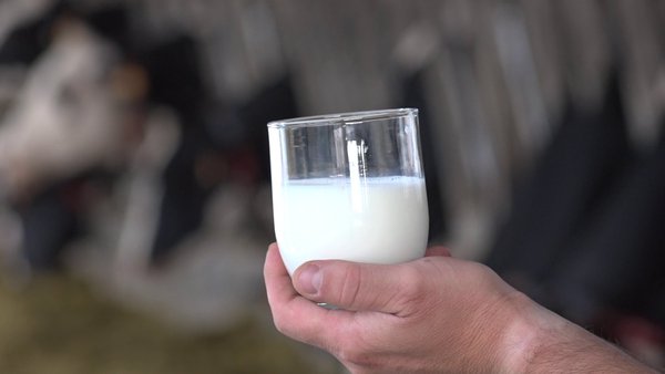 El precio medio de la leche en España fue en junio de 0,469 €/litro