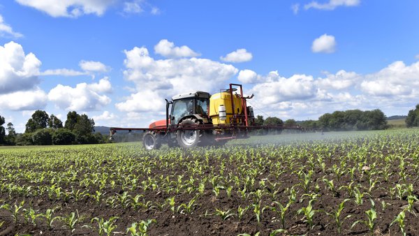 La nueva normativa sobre el uso de fitosanitarios y pesticidas