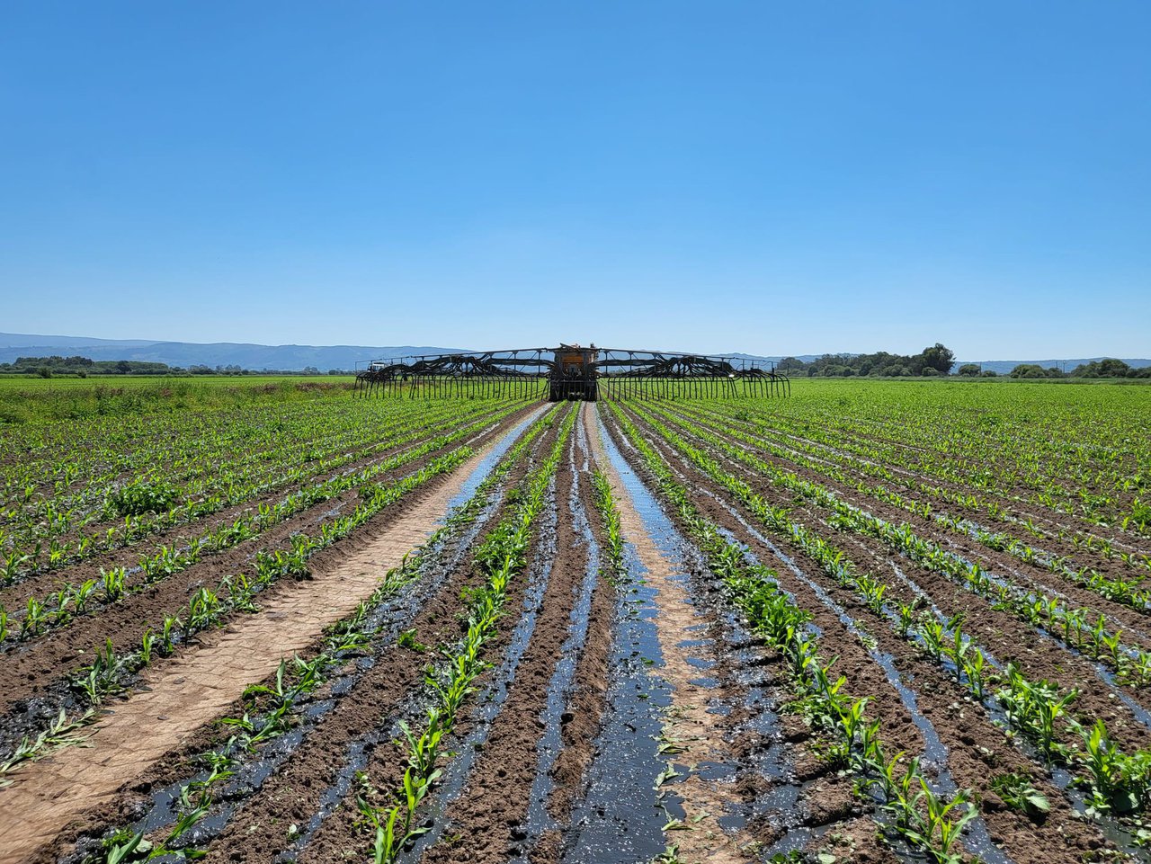 La aplicación web RAX de recomendación de fertilización con purín en el maíz forrajero y las pérdidas de nitrógeno por volatilización de amoniaco