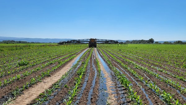 La aplicación web RAX de recomendación de fertilización con purín en el maíz forrajero y las pérdidas de nitrógeno por volatilización de amoniaco