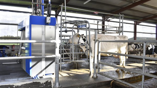 A que aspectos clave presta atención o sistema Nanta Dairy Robot (II)?