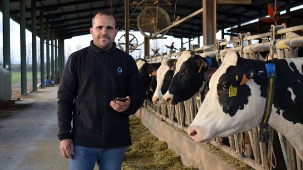 Rabaño monitorizado con Sensehub® en Aymerich de Can Thió (Xirona)