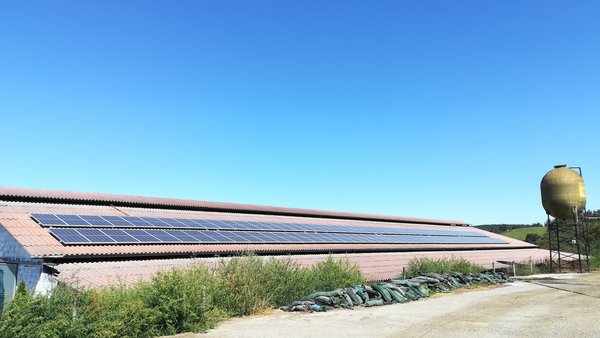 Gocalvesa: un ejemplo de descarbonización en la industria láctea española
