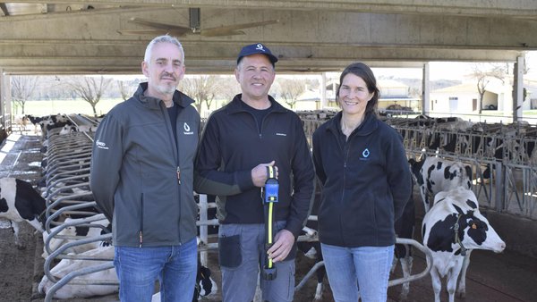 Control da reprodución e da saúde na recría, as vacas en lactación e as secas