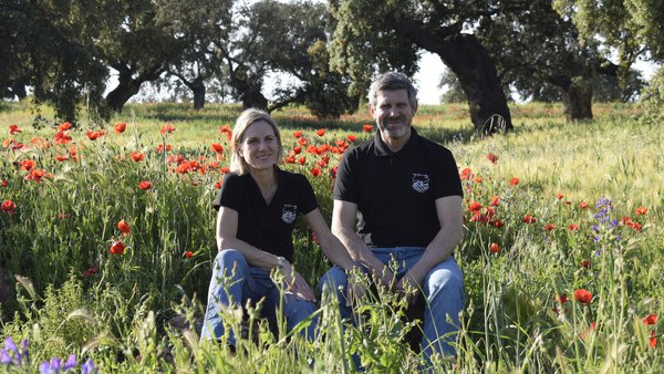 Un amor forxado entre dúas Córdobas coas vacas como testemuñas