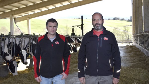 Valls Gol consegue tres muxidos ao día grazas á robotización con Lely