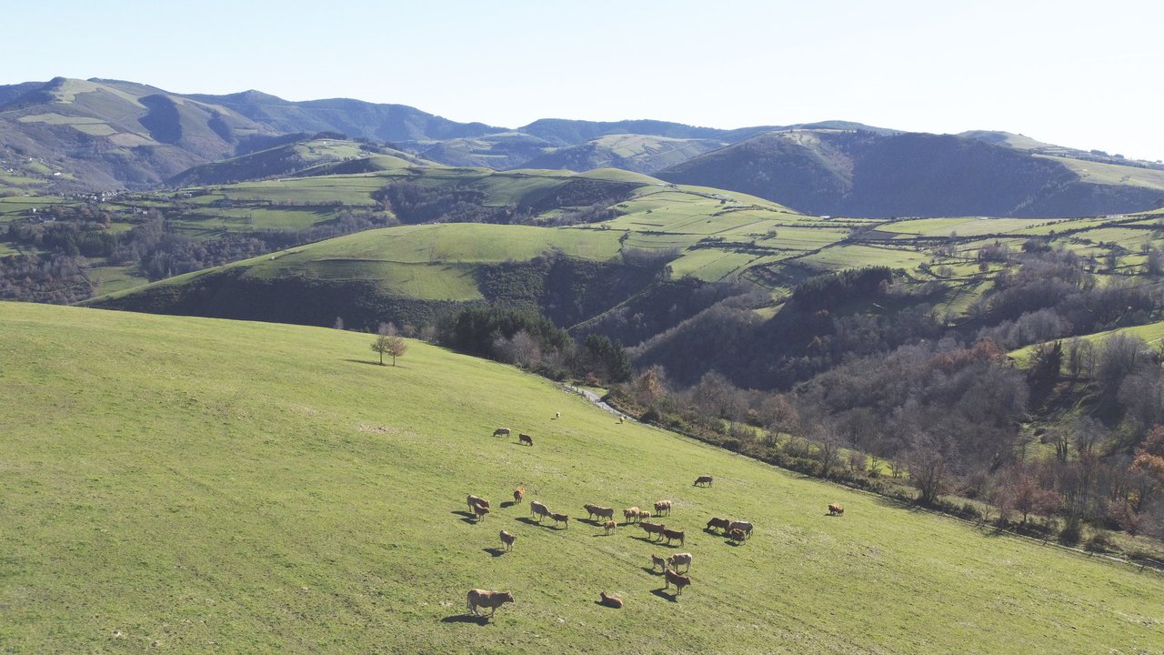 A agricultura ecolóxica: Galicia como faro atlántico dun modelo que une terra, mar, economía e vida