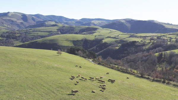 La agricultura ecológica: Galicia como faro atlántico de un modelo que une tierra, mar, economía y vida