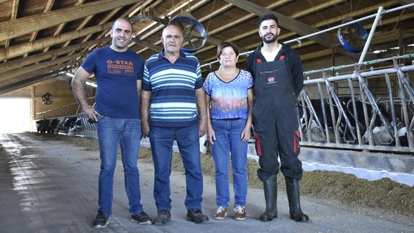 Especialistas en vacas produtoras e lonxevas