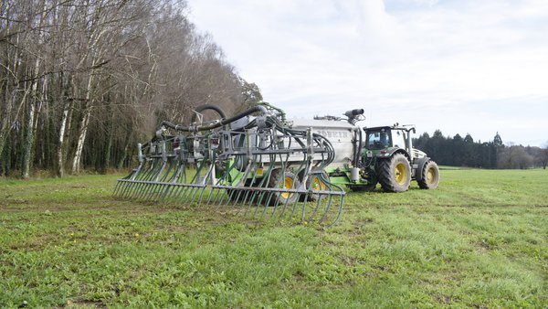 La pradera como eje de sostenibilidad en las ganaderías