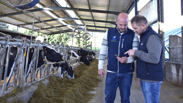 Dairy Compass, a nova solución de De Heus para a análise de datos e a eficiencia