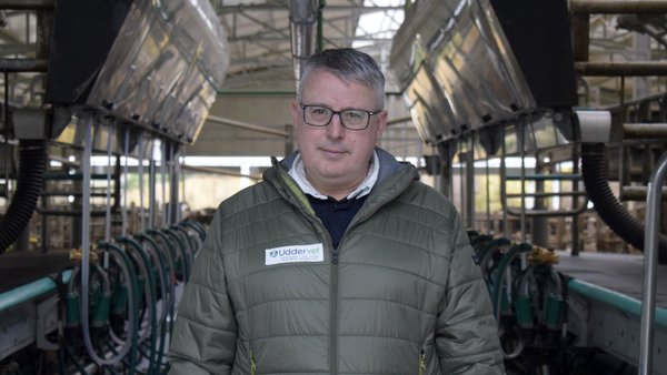 Nace Uddervet, unha empresa veterinaria especializada en calidade do leite e saúde de ubre