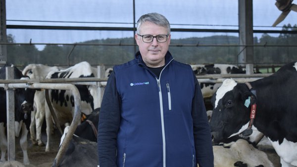 "Gando permítenos tomar decisións baseadas na evidencia”
