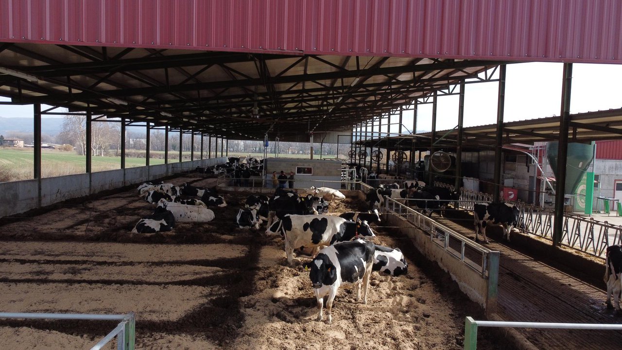 El beneficio económico del enfriamiento intensivo de las vacas en explotaciones lecheras de alto rendimiento