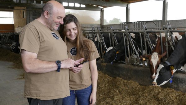 Requisitos mínimos de bienestar animal en las explotaciones de vacuno en relación a las obligaciones de vigilancia del titular de la explotación (RD 3