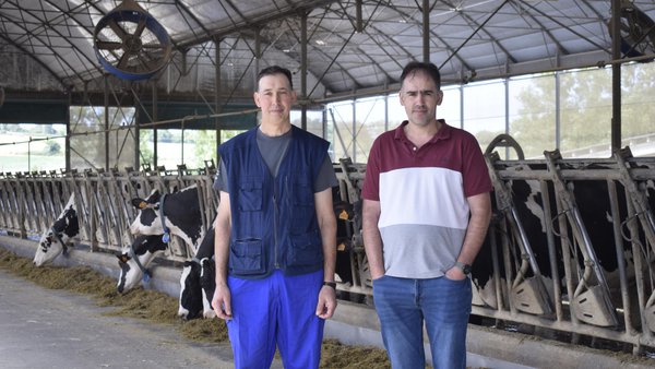 Mejora genética, tecnología avanzada y manejo eficiente marcan el camino de la excelencia
