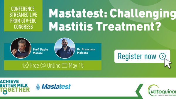 O tratamento da mastite, foco dun webinario de Vetoquinol que terá lugar o 15 de maio