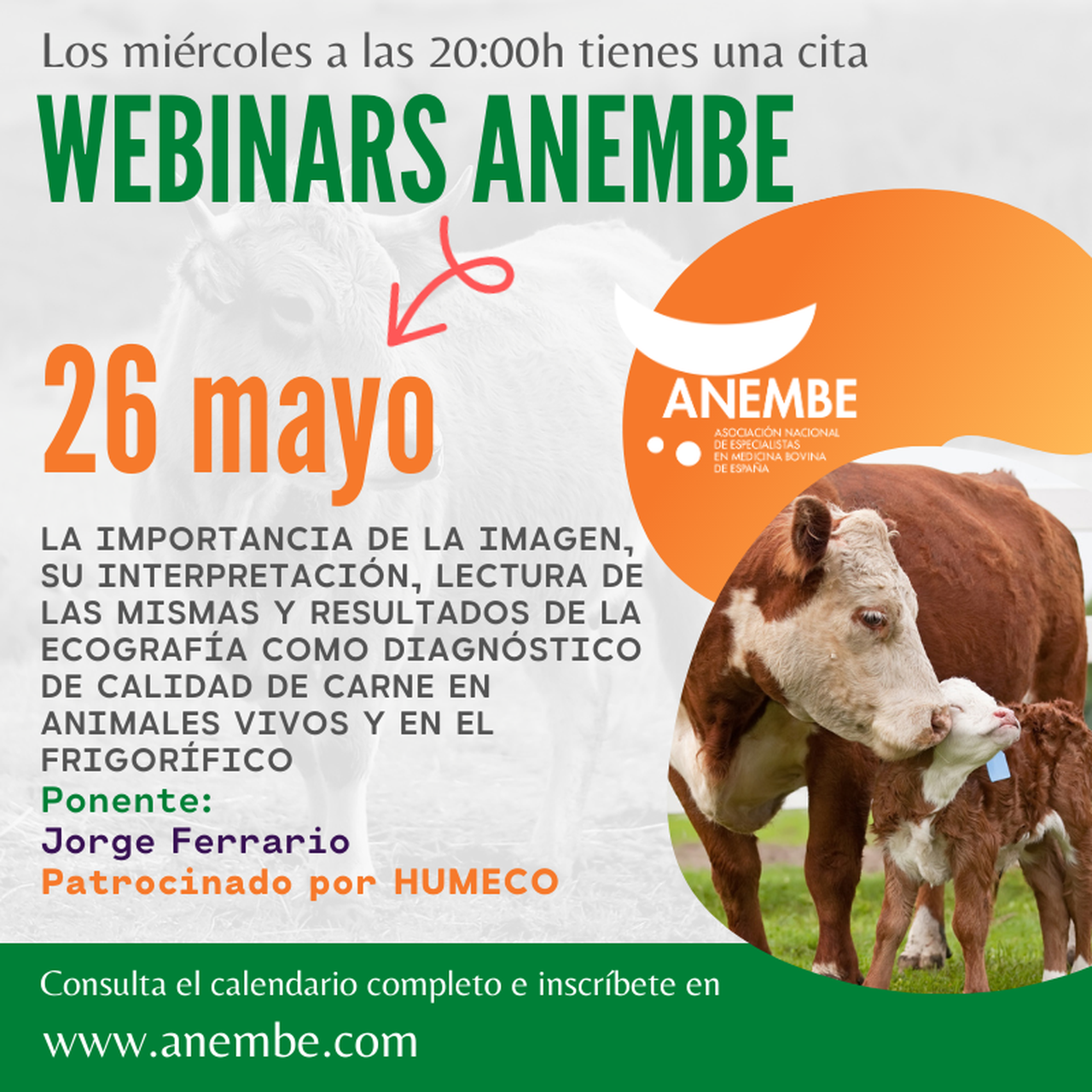 Anembe cierra mañana el ciclo de webinars del mes de mayo