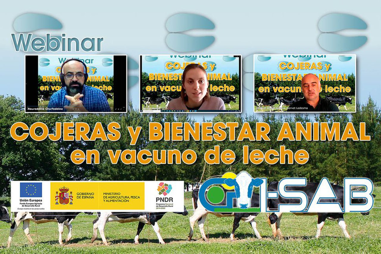 Conafe celebró un webinar sobre cojeras y bienestar animal en vacuno de leche