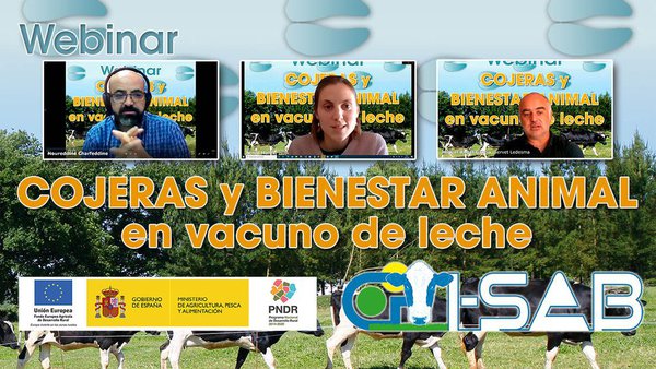 Conafe celebró un webinar sobre cojeras y bienestar animal en vacuno de leche