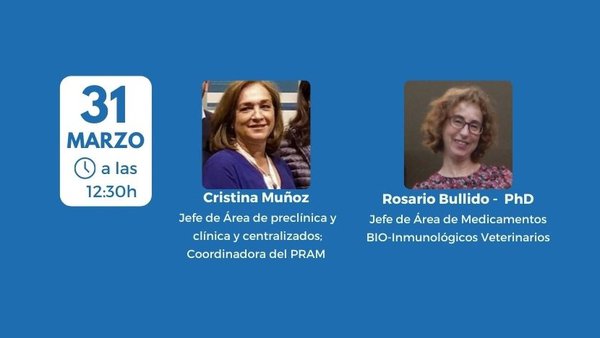 Webinario sobre el nuevo marco legislativo del medicamento veterinario