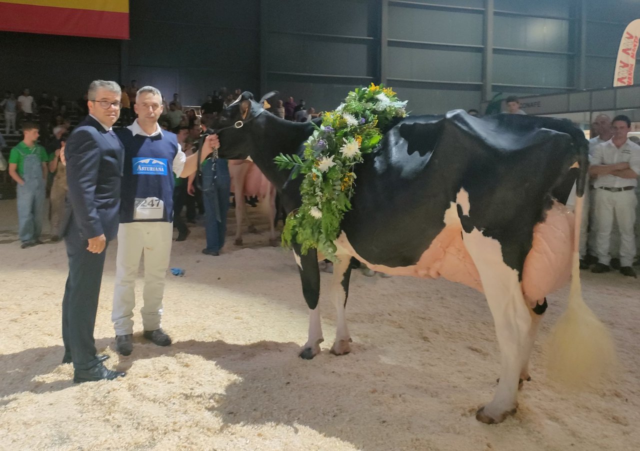¡Llinde Ariel Jordan proclámase vaca gran campiona nacional por cuarta vez consecutiva!