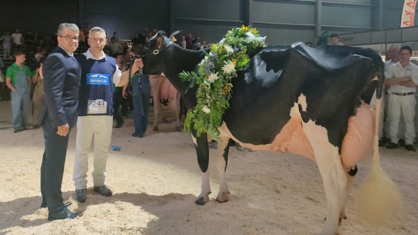¡Llinde Ariel Jordan proclámase vaca gran campiona nacional por cuarta vez consecutiva!