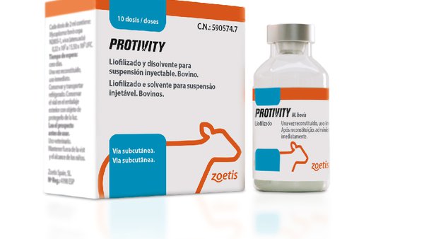 Zoetis lanza Protivity®, a primeira vacina viva modificada para protexer os xatos contra a enfermidade respiratoria causada por M. bovis